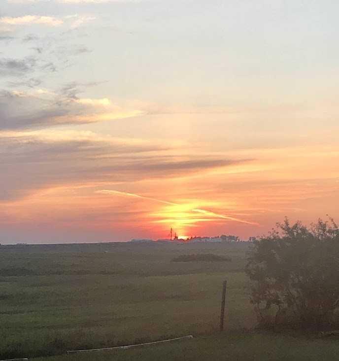 Fifth View of 245042 Range Road 251 Range , NONE, Rural Wheatland County, Alberta, T0J0P1