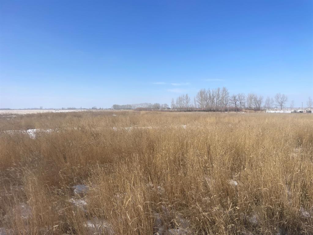 HWY 550 & RR155 RR155  , A2291604, Alberta,