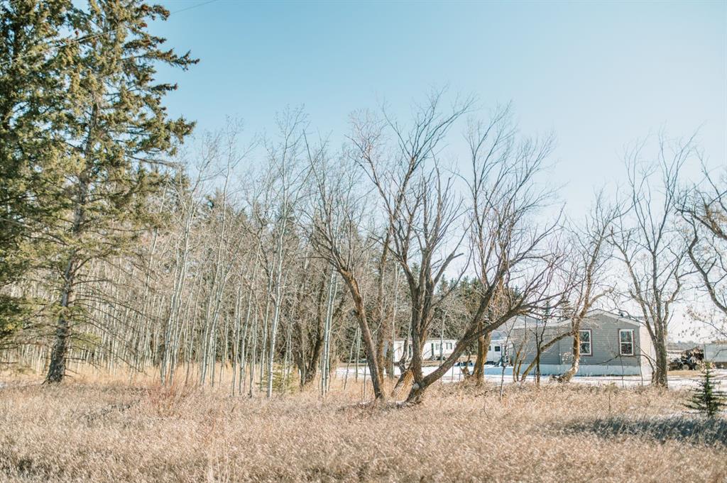 Fifth View of 41177 Range Road 18-1  , NONE, Rural Stettler No. 6, County of, Alberta, T0B 1H0