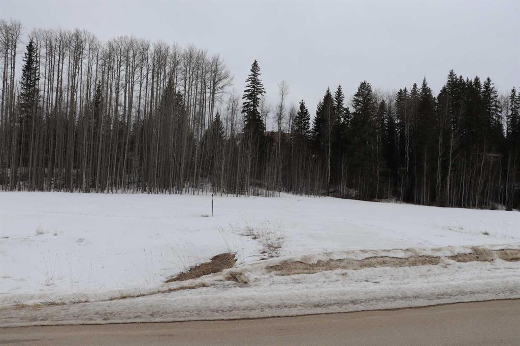 24, 16511 Township Road 532A  , A2292070, Alberta,