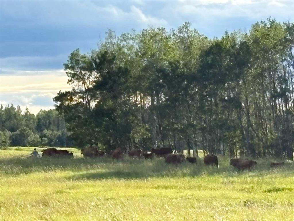 Fifth View of  Twp RD 500 RR 40  , NONE, Rural Leduc County, Alberta, T0C 2T0
