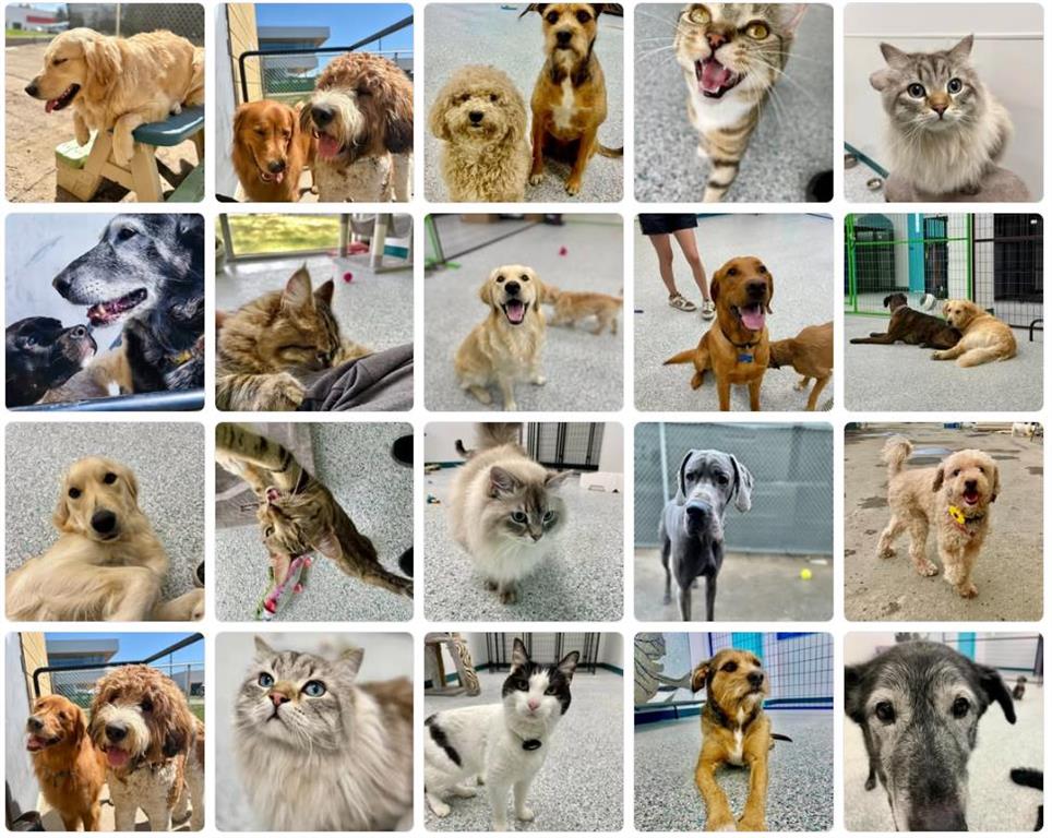 Second View of Edmonton, Alberta