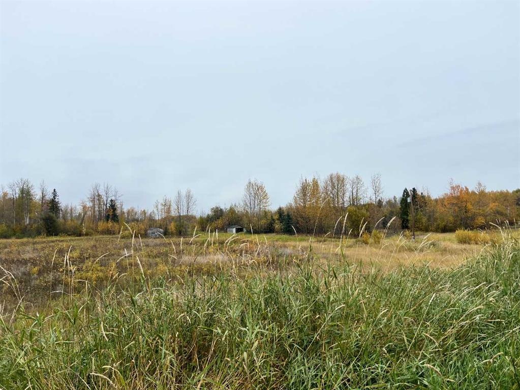 Fourth View of 65322 Hwy 43  , NONE, Little Smoky, Alberta, T0H 3Z0