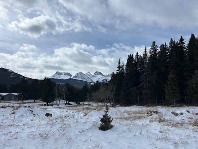 #8, 6308 25 Avenue , A2293351, Alberta,