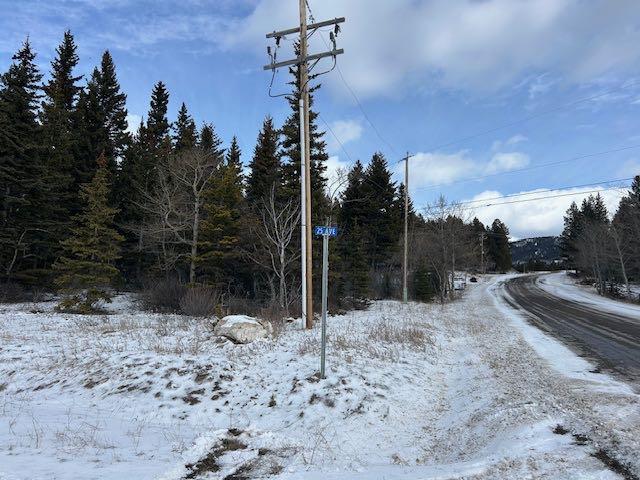 Fourth View of #8, 6308 25 Avenue , NONE, Coleman, Alberta, T0K 0M0