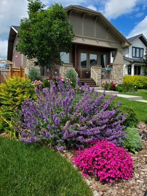 7 Arnica View , A2294433, Alberta,