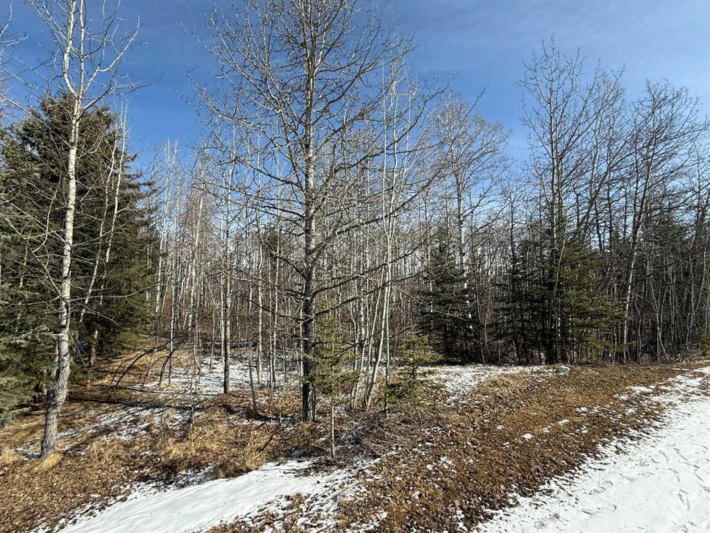 40, 29066 Range Road 52  , A2295520, Alberta,