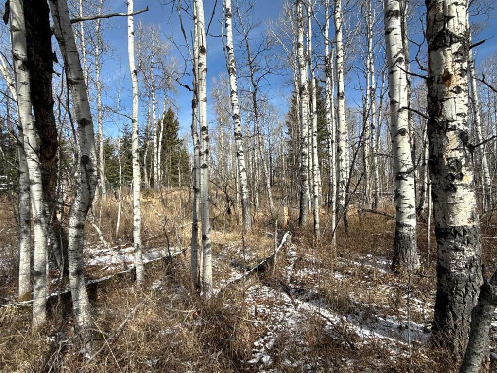 Fourth View of 40, 29066 Range Road 52  , Winchell Lake Est, Rural Mountain View County, Alberta, T0M 2E0