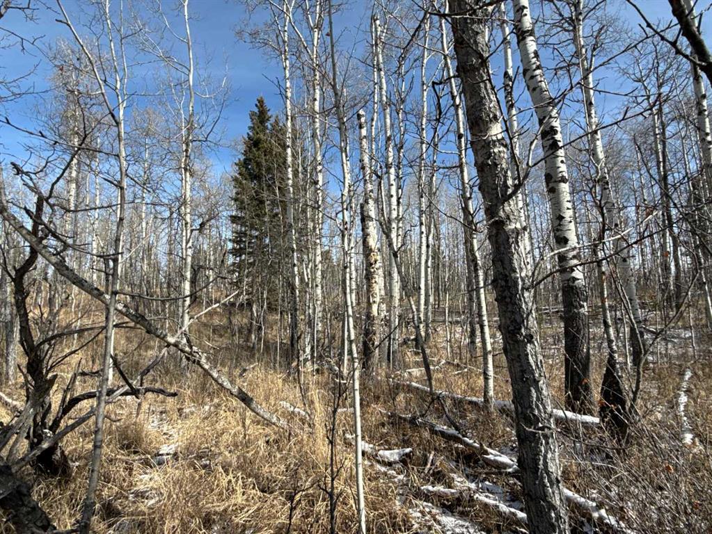 Fifth View of 40, 29066 Range Road 52  , Winchell Lake Est, Rural Mountain View County, Alberta, T0M 2E0