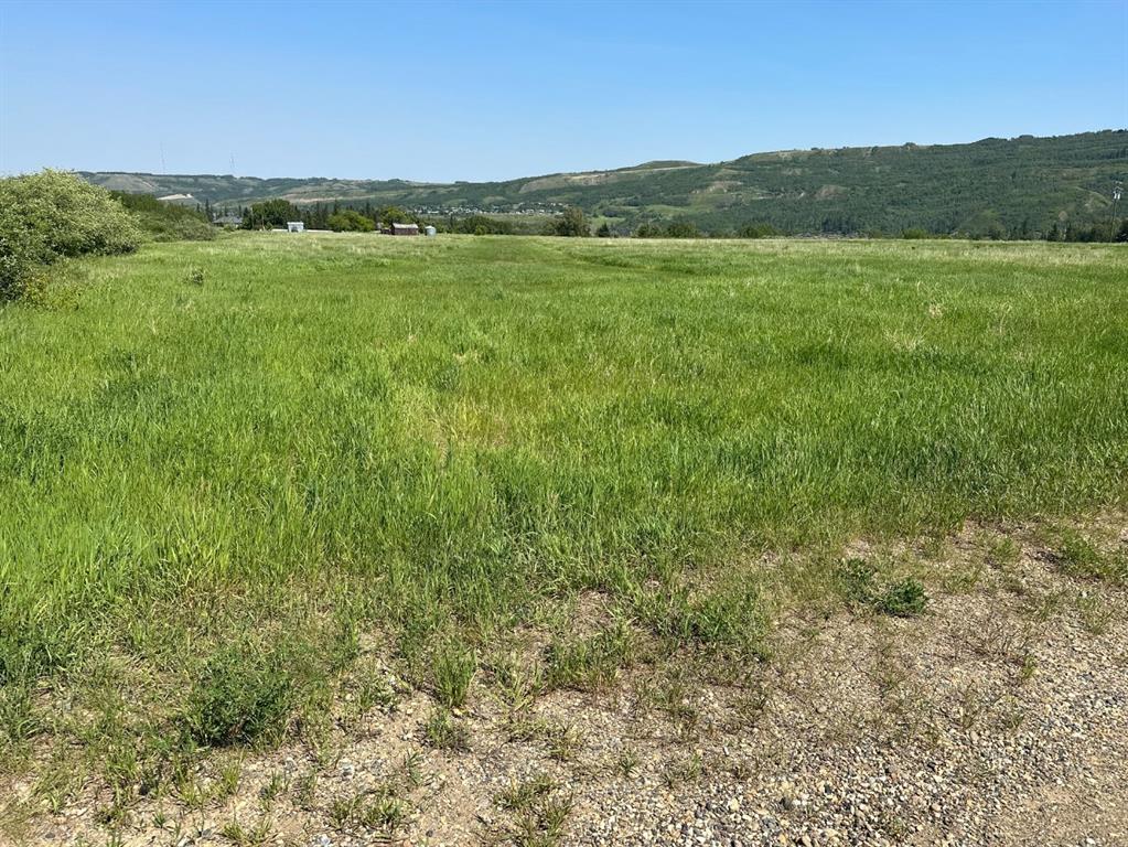 Third View of Lot 40  , Rosedale, Peace River, Alberta, T8X 1X4