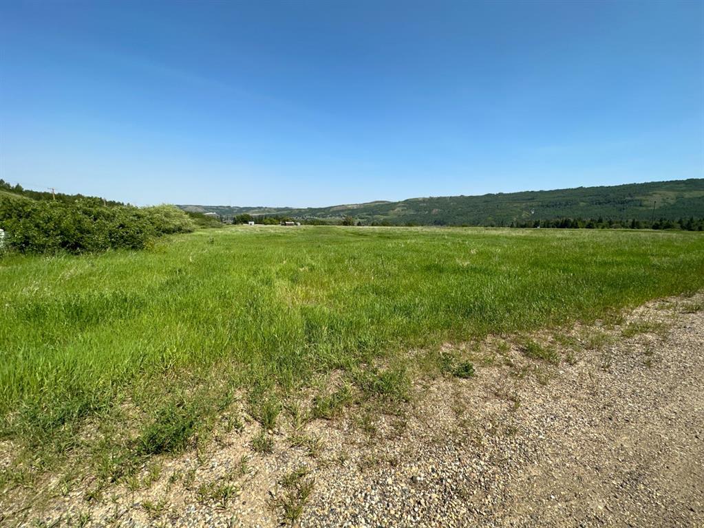 Fifth View of Lot 40  , Rosedale, Peace River, Alberta, T8X 1X4