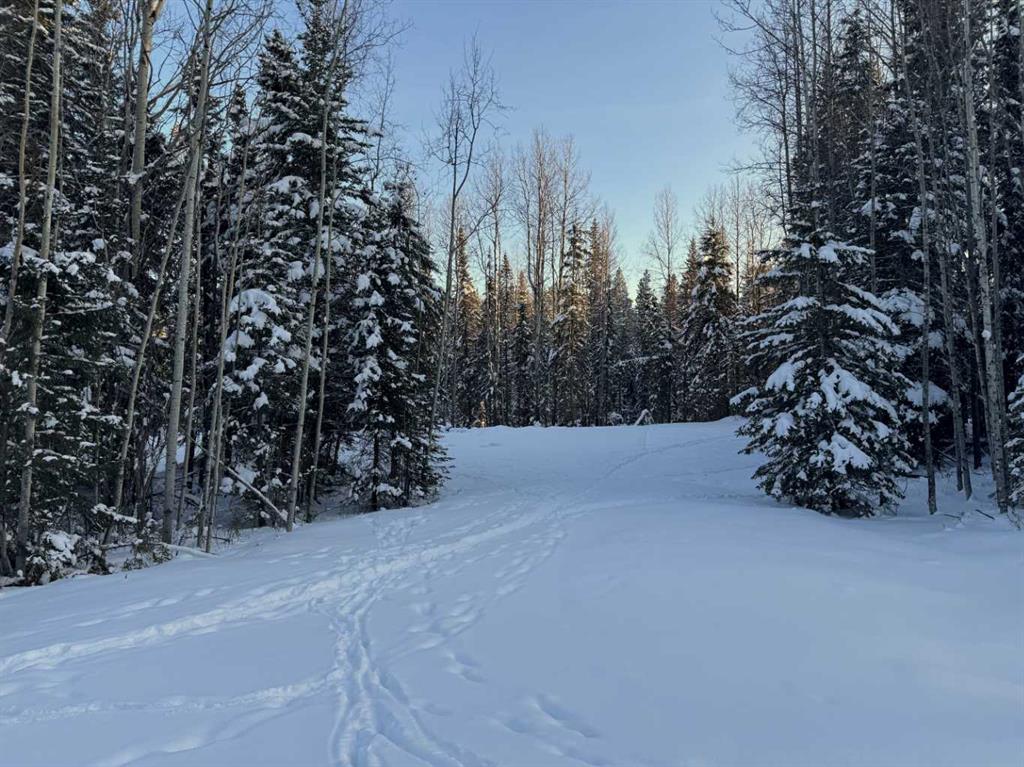Lot 2 Range Road 180  , A2296021, Alberta,