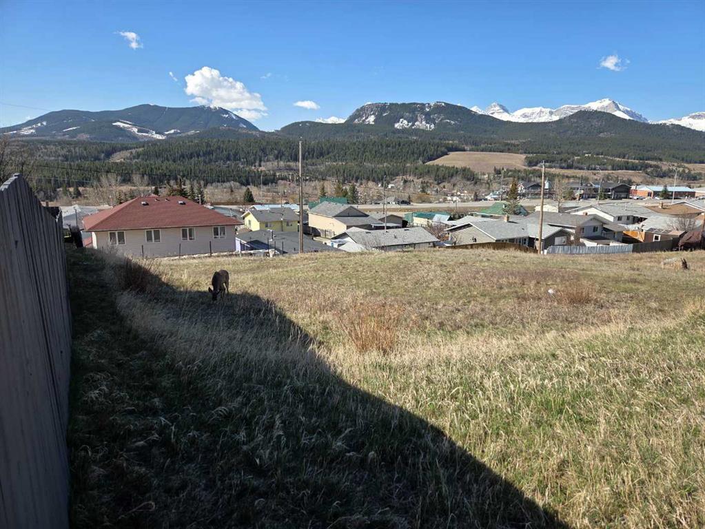 Fifth View of 8630 21st Avenue , NONE, Coleman, Alberta, T0K0M0