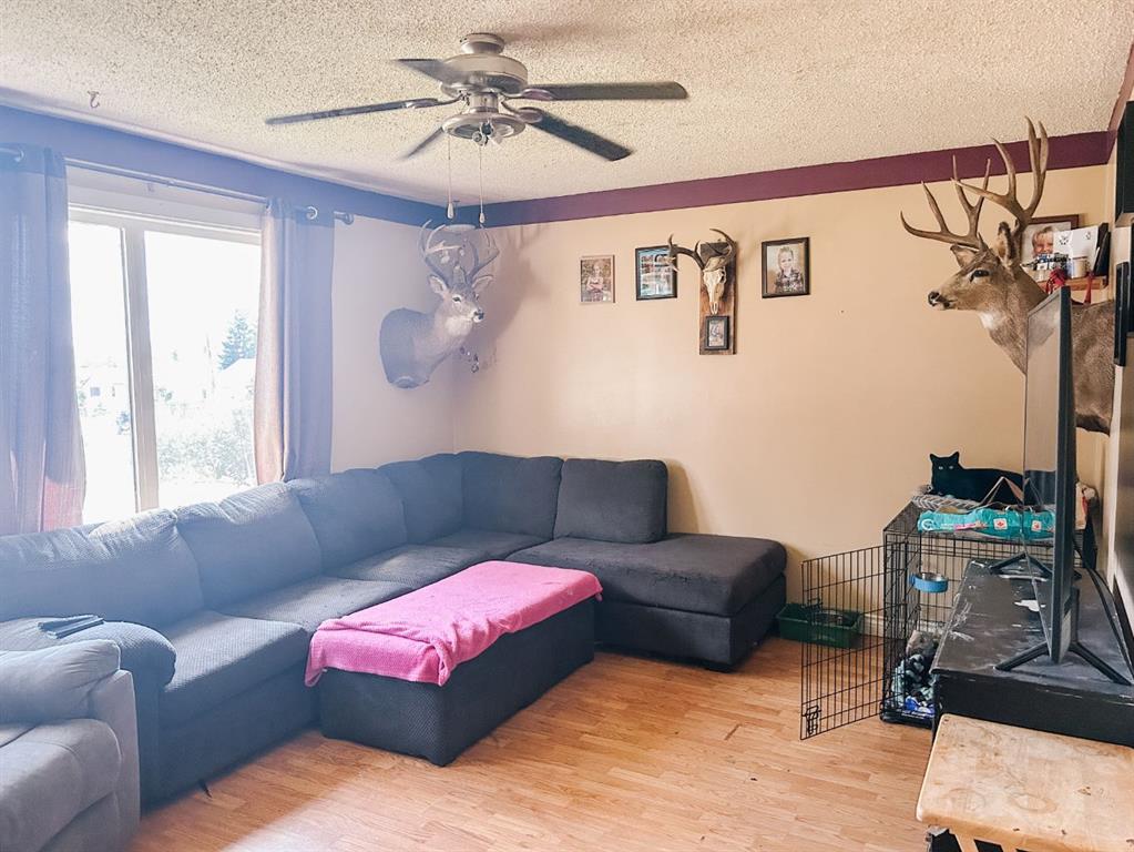 Fourth View of 4548 46 Avenue , NONE, Rocky Mountain House, Alberta, T4T1A2