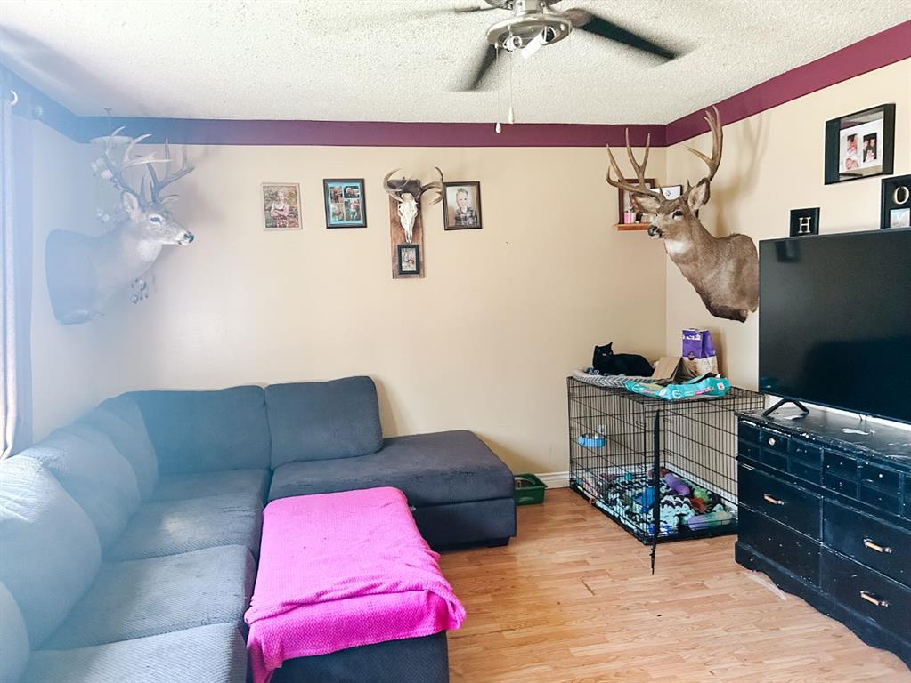 Fifth View of 4548 46 Avenue , NONE, Rocky Mountain House, Alberta, T4T1A2