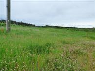 Fifth View of W4TH-RNG14-TWP66-SEC 36, HWY 881 TWP 670  , Lac La Biche, Lac La Biche, Alberta, T0A 2C0