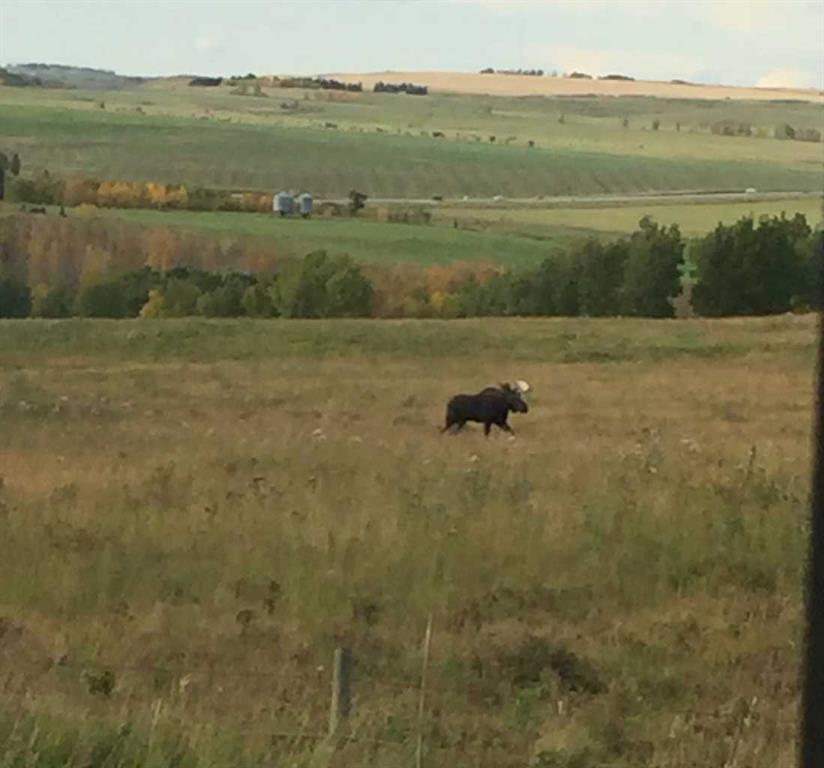 Fifth View of 4142 Township Road 290  , NONE, Rural Mountain View County, Alberta, T0M1L0