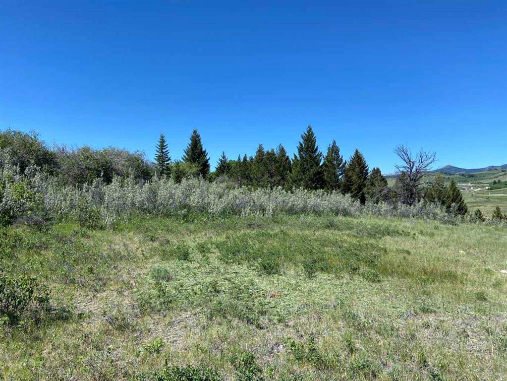 Fifth View of 6 Rustler's Ridge  , NONE, Rural Pincher Creek No. 9, M.D. of, Alberta, T0K 1W0