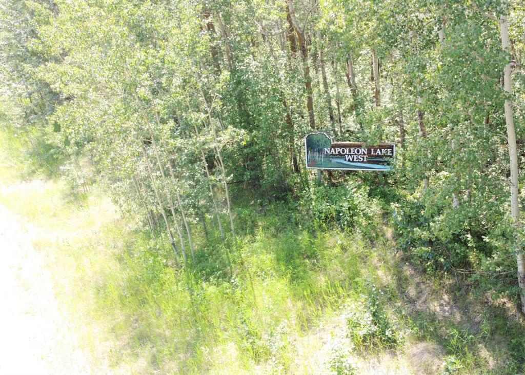 Fifth View of 5650 Lakeside Way , Napoleon Lake West, Innisfail, Alberta, T4G 0H4