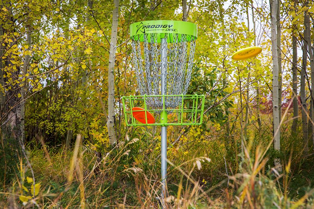 Fifth View of 630 Iris Street , NONE, Rosemary, Alberta, T0J2W0