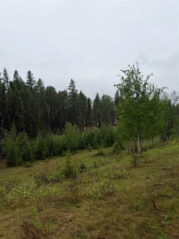 Third View of 505 CLEARWATER ESTATES Crescent , Clearwater Estates, Rural Clearwater County, Alberta, T4T 2A2