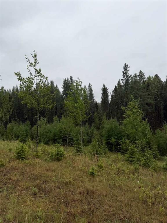 Fourth View of 505 CLEARWATER ESTATES Crescent , Clearwater Estates, Rural Clearwater County, Alberta, T4T 2A2