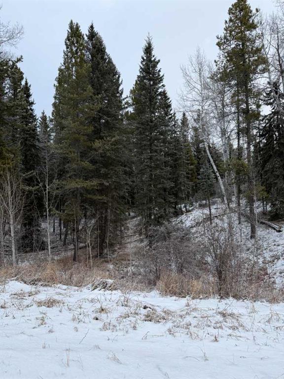 Third View of 514 CLEARWATER ESTATES  , Clearwater Estates, Rural Clearwater County, Alberta, T4T 2A2