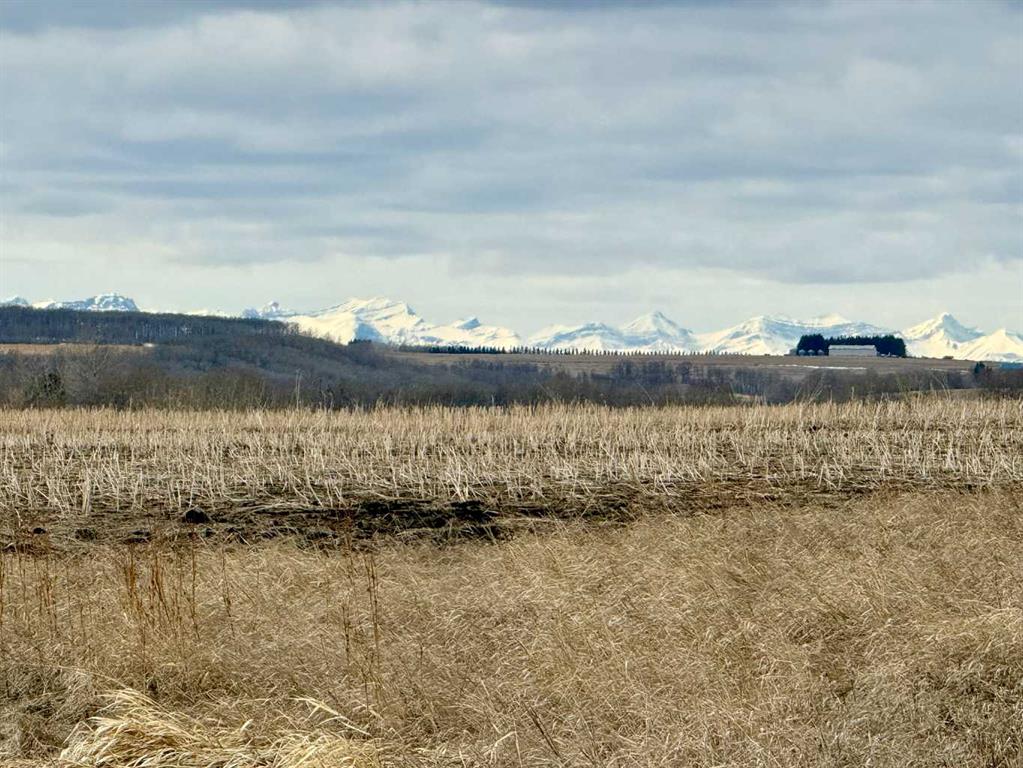 Fifth View of RR 35 North of TWP 304  , NONE, Rural Mountain View County, Alberta, T0M 0R0