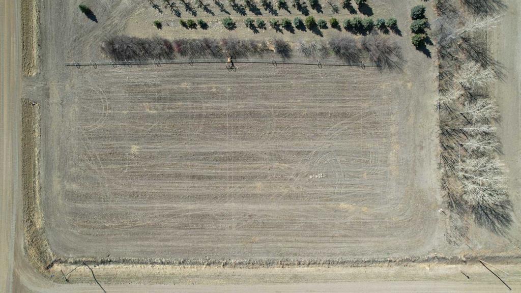 Fourth View of TWP 100 RR 205  , NONE, Rural Lethbridge County, Alberta, T1M1A1