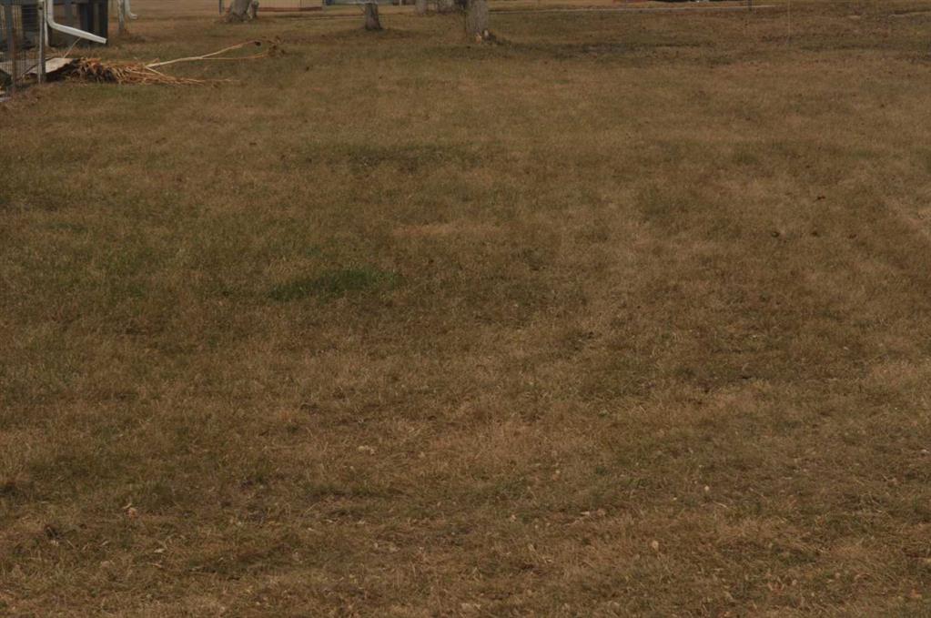 4820 49 Street , A2301121, Alberta,