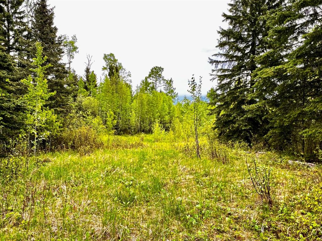 Third View of 4 Forest Close , Ridgeland Estates, Rural Clearwater County, Alberta, T4T 2A4