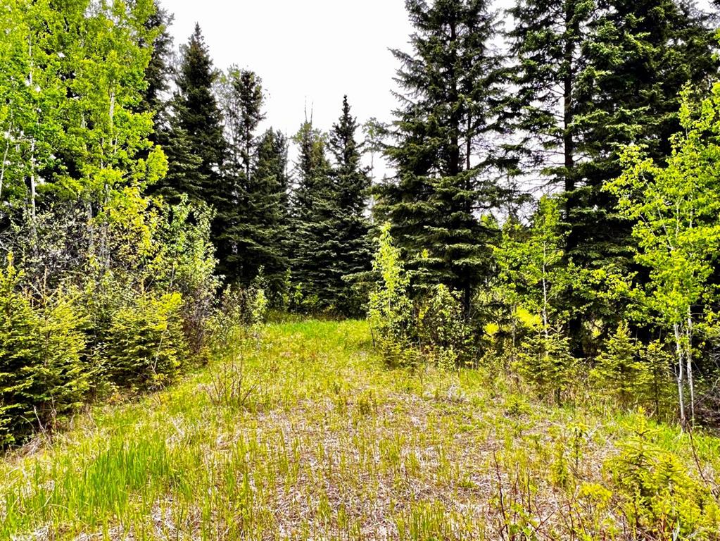 Fourth View of 4 Forest Close , Ridgeland Estates, Rural Clearwater County, Alberta, T4T 2A4
