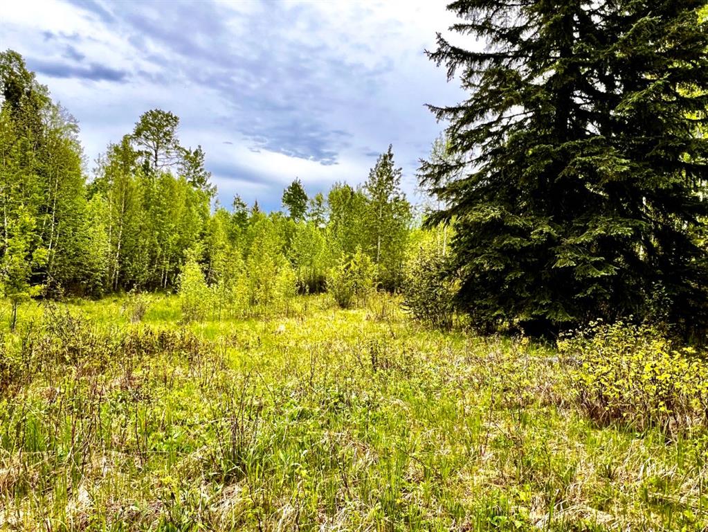 Fifth View of 4 Forest Close , Ridgeland Estates, Rural Clearwater County, Alberta, T4T 2A4