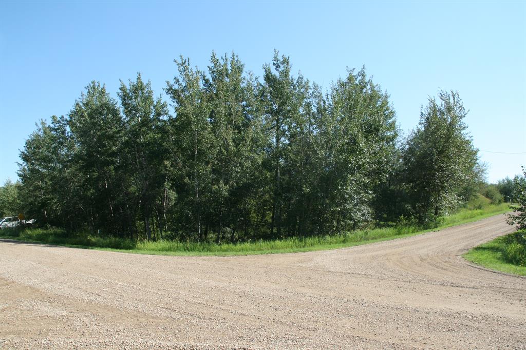 Second View of 7 Buffalo Drive , Scenic Sands, Rural Stettler No. 6, County of, Alberta, T0C 1G0