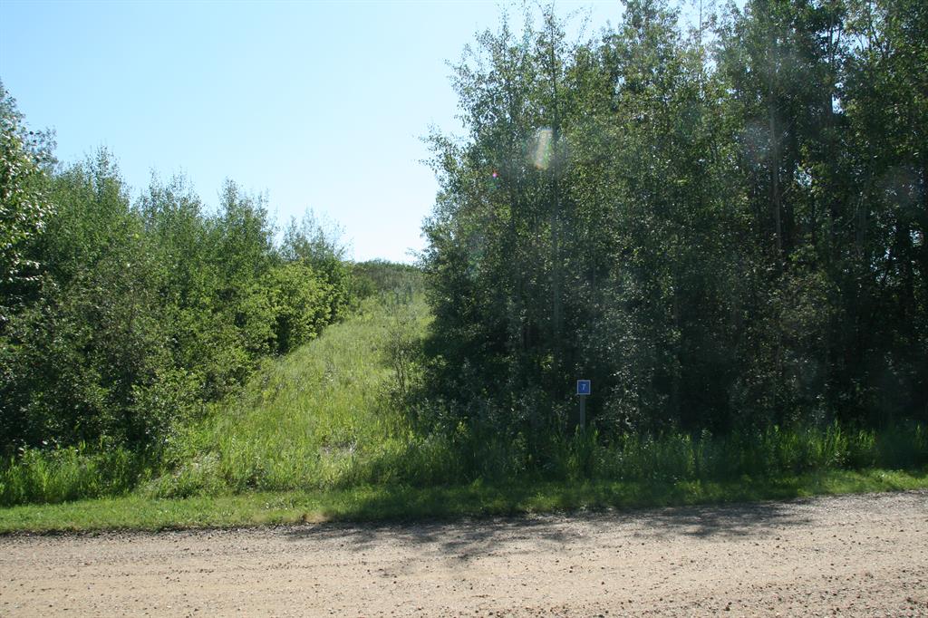 Fourth View of 7 Buffalo Drive , Scenic Sands, Rural Stettler No. 6, County of, Alberta, T0C 1G0
