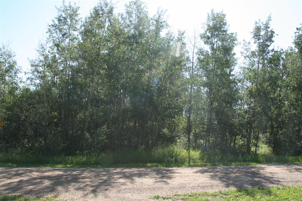 Fifth View of 7 Buffalo Drive , Scenic Sands, Rural Stettler No. 6, County of, Alberta, T0C 1G0