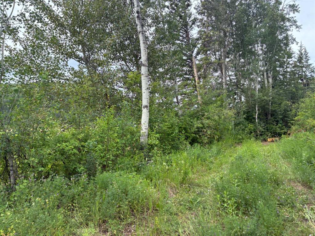 Fourth View of  TWP RD 801A  , NONE, Rural Fairview No. 136, M.D. of, Alberta, T0H 1L0