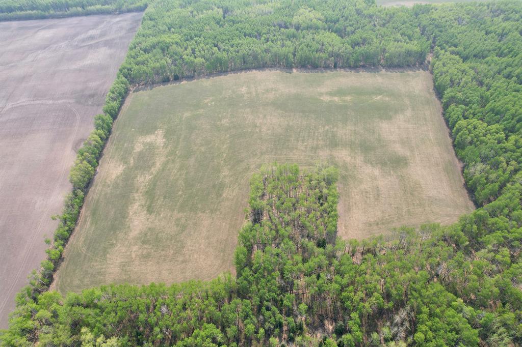 Fourth View of SW-35-69-12-6 .  , NONE, Elmworth, Alberta, T0H 1J0