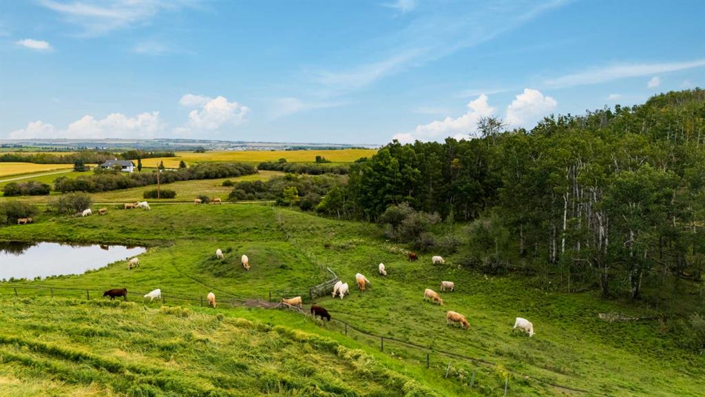  402 Avenue , A2302350, Alberta,