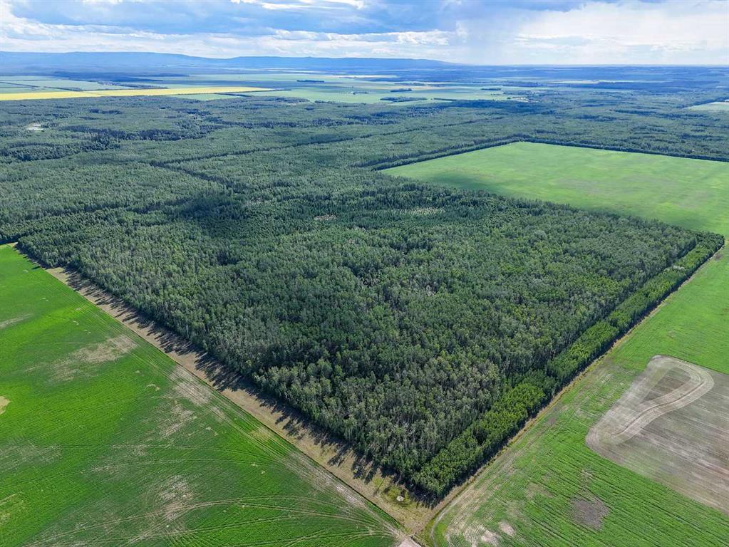 Second View of  SW-34-105-13-W5  , NONE, Rural Mackenzie County, Alberta, T0H 2H0