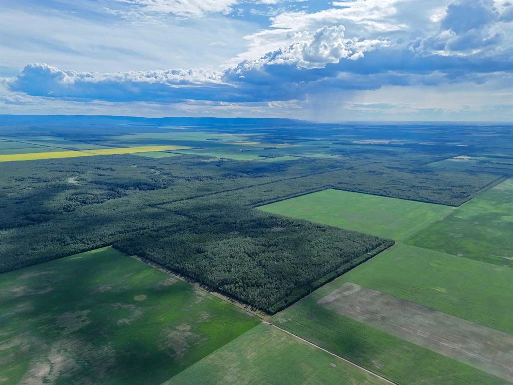 Fourth View of  SW-34-105-13-W5  , NONE, Rural Mackenzie County, Alberta, T0H 2H0