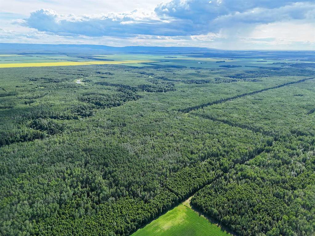 Fifth View of  SW-34-105-13-W5  , NONE, Rural Mackenzie County, Alberta, T0H 2H0