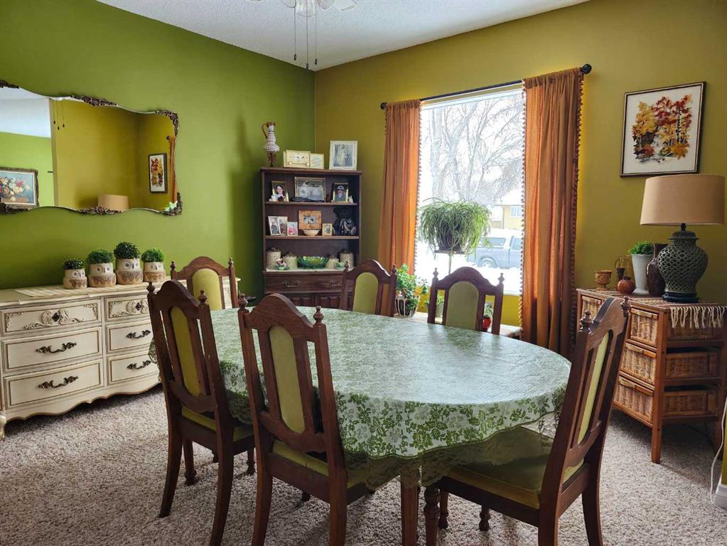 Fifth View of 220 3 Avenue E, Downtown, Drumheller, Alberta, T0J0Y4