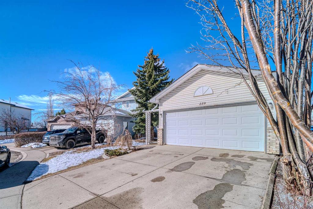 Fourth View of 239 Arbour Wood , Arbour Lake, Calgary, Alberta, T3G 4C3