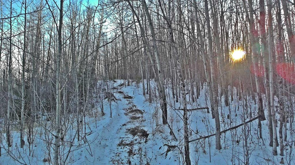 Fourth View of Lot 13 RR14  , NONE, Rimbey, Alberta, T0C 2J0