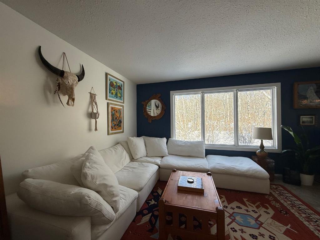 Fourth View of 64 Twaatinaw Drive , NONE, Athabasca, Alberta, T9S 2A2