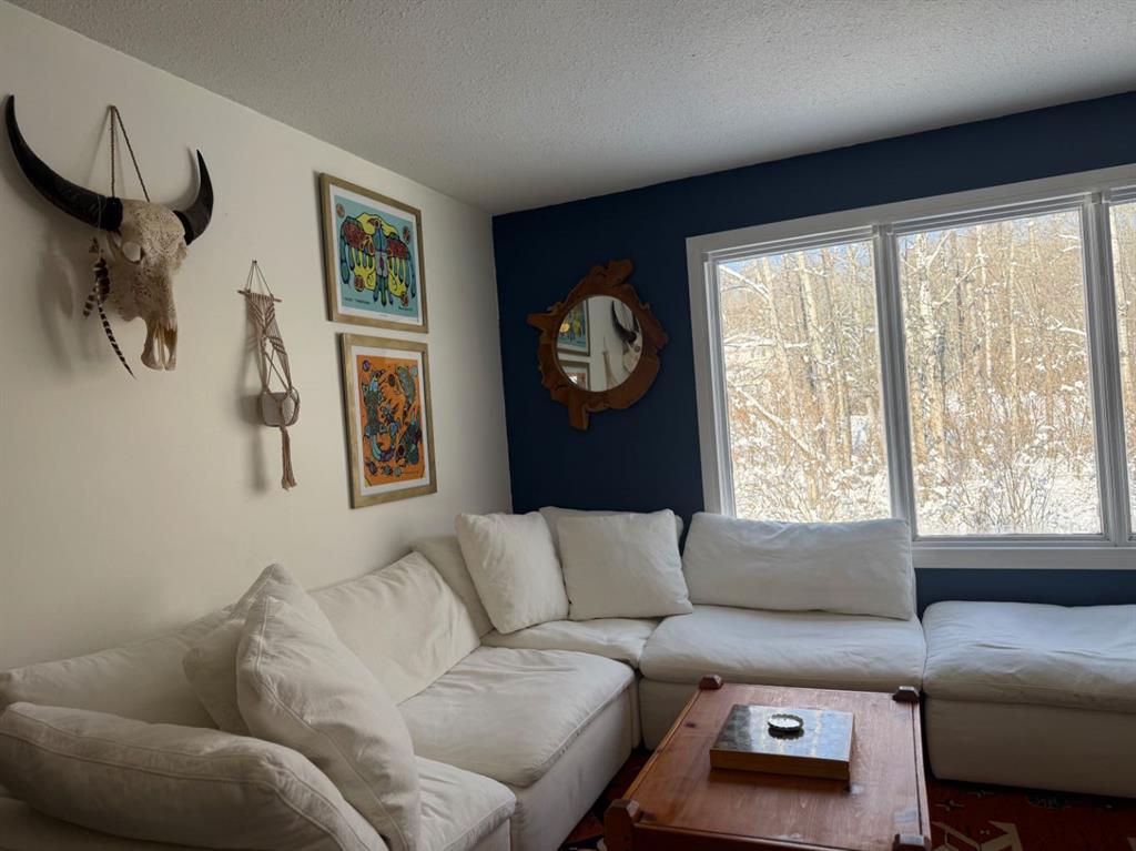 Fifth View of 64 Twaatinaw Drive , NONE, Athabasca, Alberta, T9S 2A2