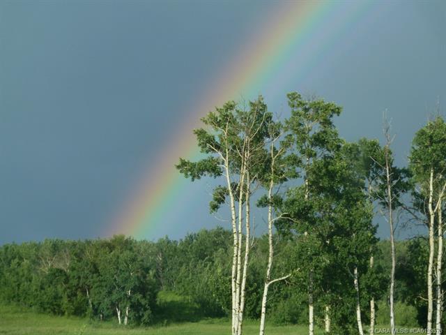 17, 420069 Range Road 284  , A2305344, Alberta,