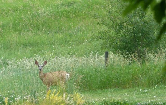 13, 420069 Range Road 284  , A2305347, Alberta,