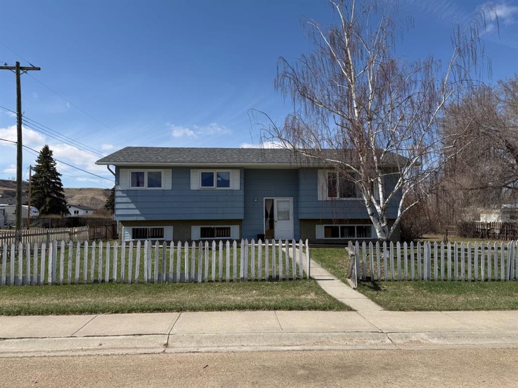 217 2 Street  , A2305735, Alberta,